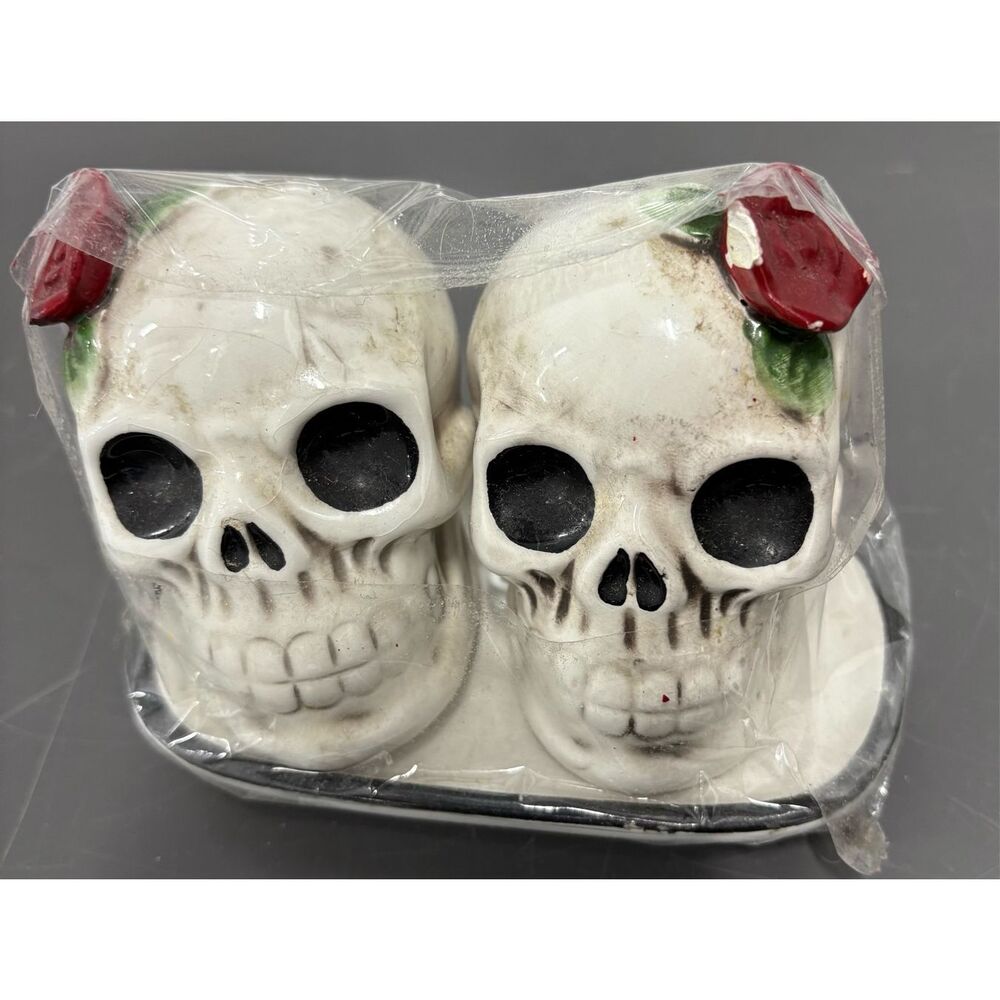 Connections ceramic skull salt & pepper shakers